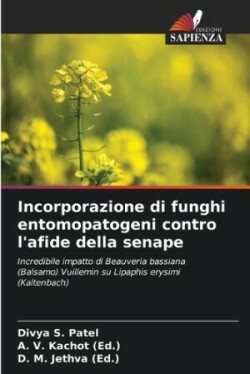 Incorporazione di funghi entomopatogeni contro l'afide della senape