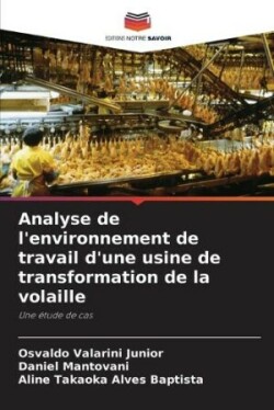 Analyse de l'environnement de travail d'une usine de transformation de la volaille