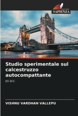 Studio sperimentale sul calcestruzzo autocompattante