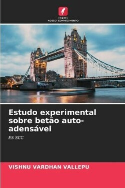 Estudo experimental sobre betão auto-adensável