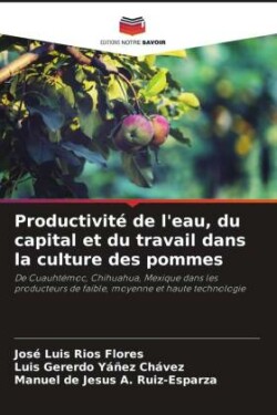 Productivité de l'eau, du capital et du travail dans la culture des pommes