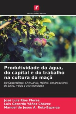 Produtividade da água, do capital e do trabalho na cultura da maçã