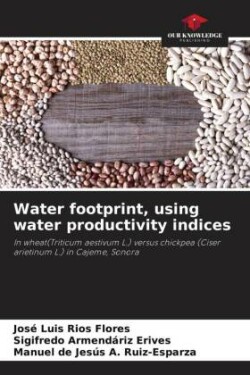 Water footprint, using water productivity indices