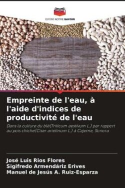 Empreinte de l'eau, à l'aide d'indices de productivité de l'eau