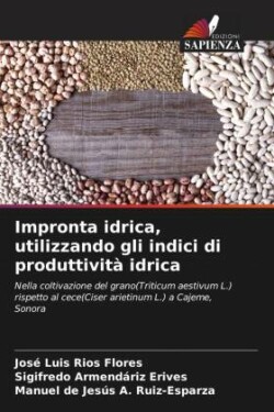 Impronta idrica, utilizzando gli indici di produttività idrica