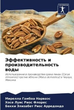 Эффективность и производительность воды