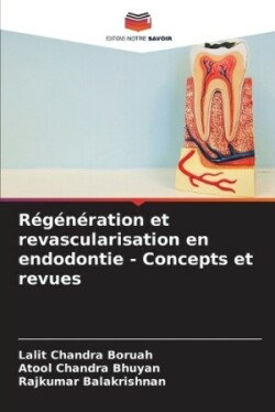 Régénération et revascularisation en endodontie - Concepts et revues