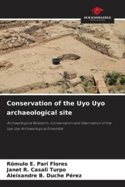 Conservation of the Uyo Uyo archaeological site