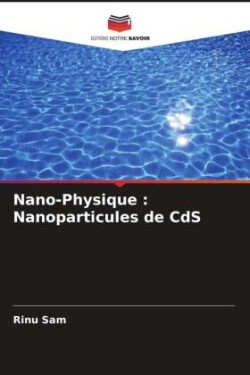 Nano-Physique