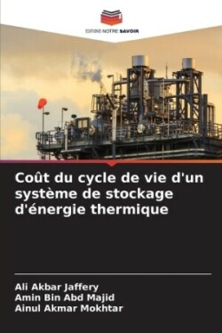 Coût du cycle de vie d'un système de stockage d'énergie thermique