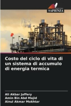 Costo del ciclo di vita di un sistema di accumulo di energia termica