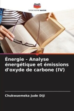 �nergie - Analyse �nerg�tique et �missions d'oxyde de carbone (IV)