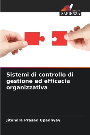 Sistemi di controllo di gestione ed efficacia organizzativa