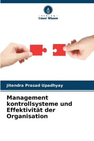 Management kontrollsysteme und Effektivität der Organisation