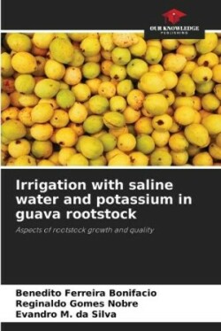 Irrigation with saline water and potassium in guava rootstock