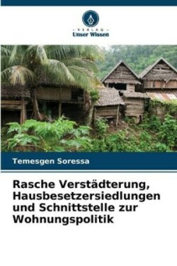 Rasche Verstädterung, Hausbesetzersiedlungen und Schnittstelle zur Wohnungspolitik