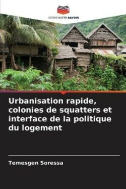 Urbanisation rapide, colonies de squatters et interface de la politique du logement