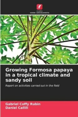 Growing Formosa papaya in a tropical climate and sandy soil