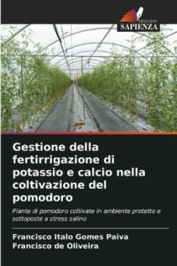 Gestione della fertirrigazione di potassio e calcio nella coltivazione del pomodoro