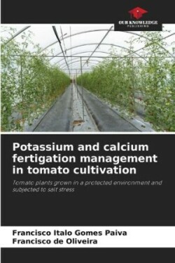 Potassium and calcium fertigation management in tomato cultivation