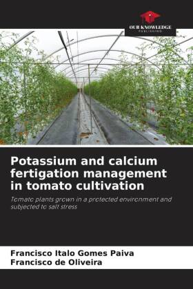 Potassium and calcium fertigation management in tomato cultivation