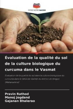 Évaluation de la qualité du sol de la culture biologique du curcuma dans le Vasmat