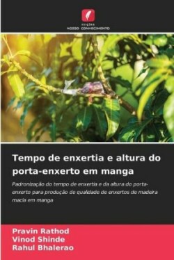 Tempo de enxertia e altura do porta-enxerto em manga