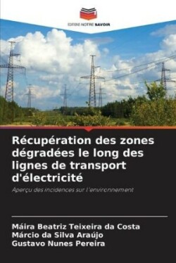 Récupération des zones dégradées le long des lignes de transport d'électricité