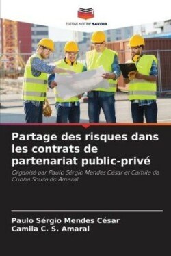 Partage des risques dans les contrats de partenariat public-privé