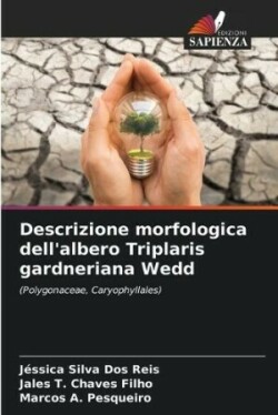 Descrizione morfologica dell'albero Triplaris gardneriana Wedd