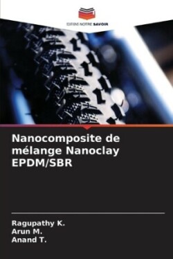 Nanocomposite de m�lange Nanoclay EPDM/SBR