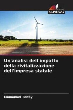 Un'analisi dell'impatto della rivitalizzazione dell'impresa statale