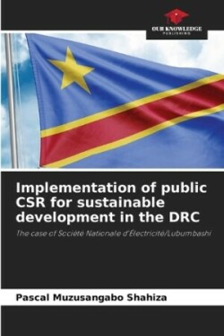 Implementation of public CSR for sustainable development in the DRC