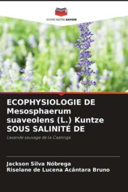 ECOPHYSIOLOGIE DE Mesosphaerum suaveolens (L.) Kuntze SOUS SALINITÉ DE