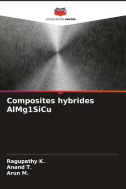 Composites hybrides AlMg1SiCu