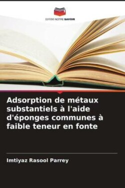 Adsorption de métaux substantiels à l'aide d'éponges communes à faible teneur en fonte