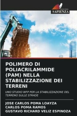 Polimero Di Poliacrilammide (Pam) Nella Stabilizzazione Dei Terreni