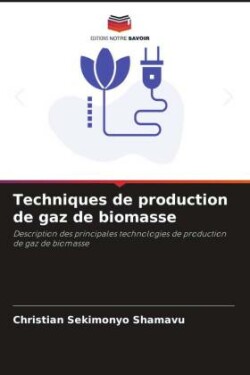 Techniques de production de gaz de biomasse