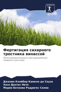 Фертигация сахарного тростника винассой