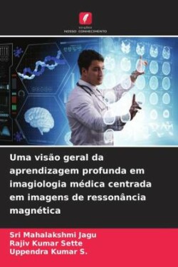 Uma visão geral da aprendizagem profunda em imagiologia médica centrada em imagens de ressonância magnética