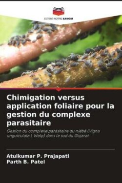 Chimigation versus application foliaire pour la gestion du complexe parasitaire