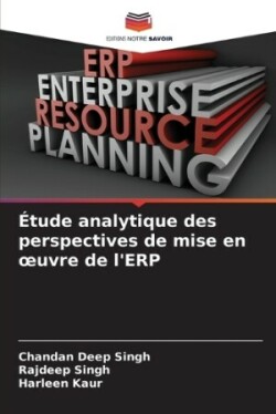 �tude analytique des perspectives de mise en oeuvre de l'ERP