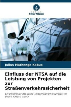 Einfluss der NTSA auf die Leistung von Projekten zur Straßenverkehrssicherheit