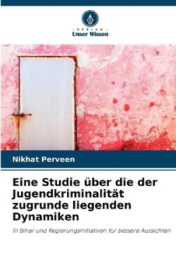 Eine Studie �ber die der Jugendkriminalit�t zugrunde liegenden Dynamiken