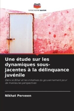 �tude sur les dynamiques sous-jacentes � la d�linquance juv�nile