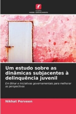 Um estudo sobre as din�micas subjacentes � delinqu�ncia juvenil