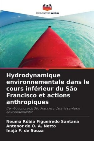 Hydrodynamique environnementale dans le cours inférieur du São Francisco et actions anthropiques