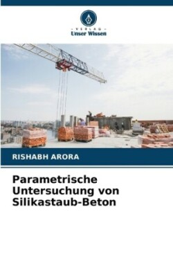 Parametrische Untersuchung von Silikastaub-Beton