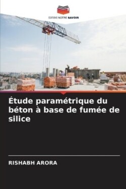 Étude paramétrique du béton à base de fumée de silice