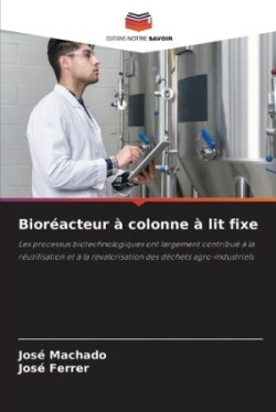 Bioréacteur à colonne à lit fixe